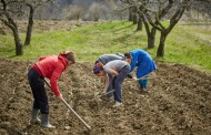 Câmara de Braga reduziu taxas para investidores agrícolas e de turismo rural