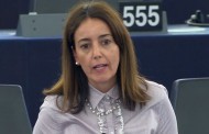 Eurodeputada Isabel Carvalhais quer medidas contra declínio das abelhas