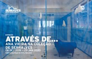 BARCELOS - Galeria Municipal de Arte mostra Através de… Ana Vieira na Coleção de Serralves’ (até 29 JAN)