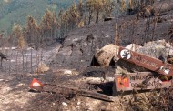 Incêndios. BE quer “gestão coerente” do Parque Nacional da Peneda-Gerês
