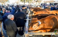 ‘Secular’ Feira dos Vinte arranca a dia 18