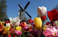 Holanda muda de nome e passa a chamar-se Países Baixos