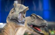 Dinossauros estão a chegar a Braga