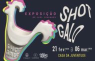 Casa da Juventude de Barcelos tem mostra ‘Shot Galo’ (até 6 MAR)