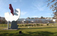 Covid-19. Universidade do Minho fecha instalações de Guimarães. 20 mil alunos sem aulas