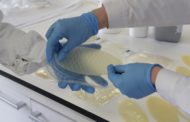 Fibrenamics da UMinho reinventa preservação de alimentos frescos (c/vídeo)