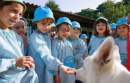Quinta Pedagógica de Braga lança Banco Alimentar Animal