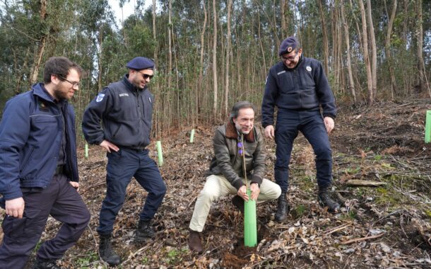 Braga protege encosta da Falperra com árvores autóctones e cria corredor seguro para caminhantes