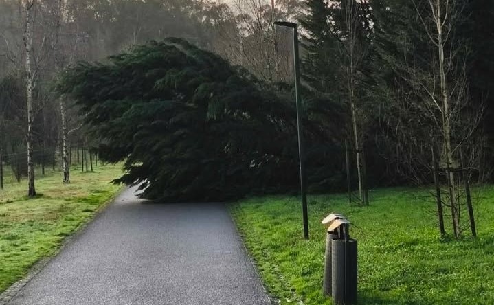 Famalicão. Hermínia faz estragos no Parque da Devesa
