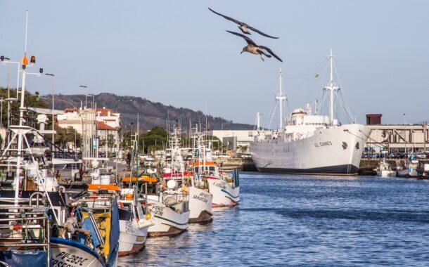 “Traição”. Eólicas ‘offshore’ prejudicam “maior local de pesca”, denunciam pescadores de Viana