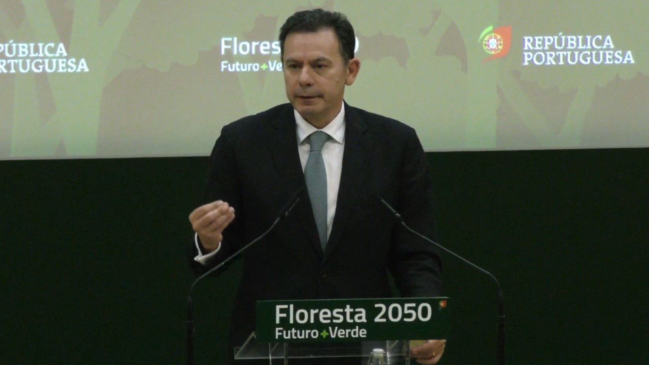 Plano Floresta prevê investimento de 6.500 milhões de euros até 2050