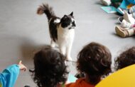 Projeto ‘Escola Amiga dos Animais’ abrange 2500 crianças de Braga em 2024