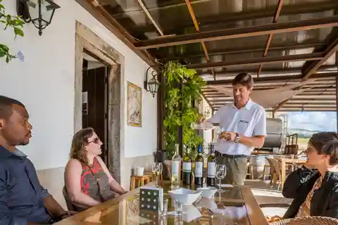 Politécnico de Viana integra projeto europeu para impulsionar turismo vínico e gastronómico