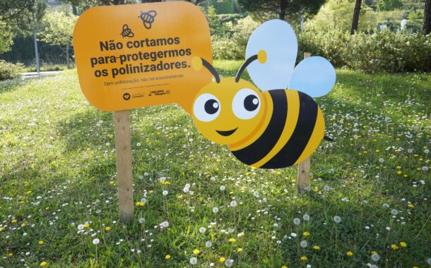 ‘Campanha ‘Prado por cortar, abelhas a trabalhar’ está de volta a Guimarães