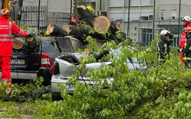 Queda de árvore de grande porte destrói dois carros em Famalicão