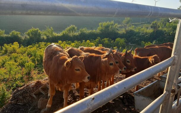 Politécnico de Viana do Castelo vence Prémio ‘Mais a Norte’ com projeto Nutrir